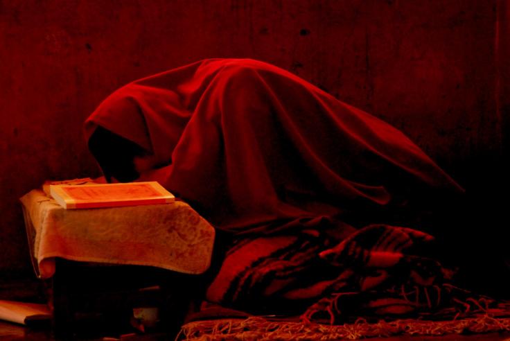 monaco addormentato - ladakh